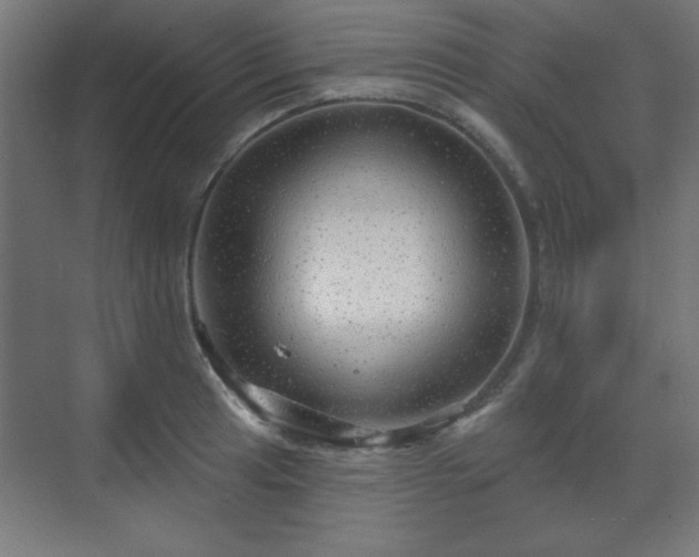 X0000070201041200606021224