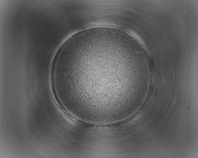 X0000070201043200606021224