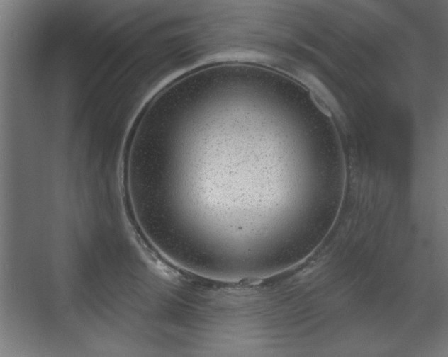 X0000070201044200606021224