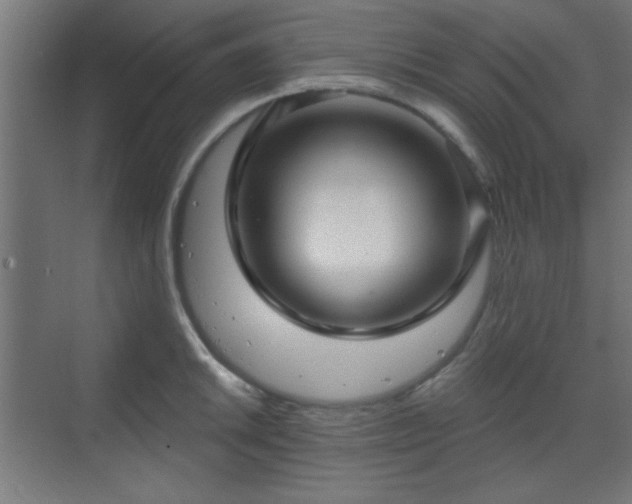 X0000070201046200606021224