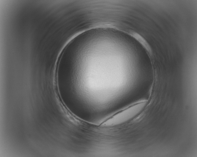 X0000070201052200606021224