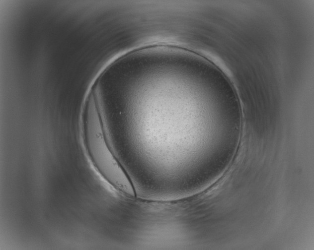 X0000070201056200606021224