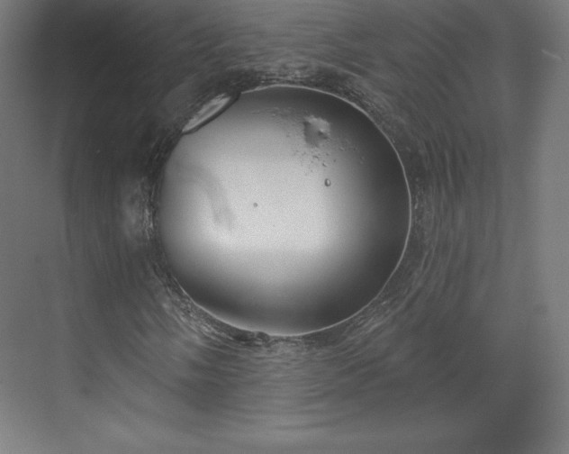 X0000070201058200606021223