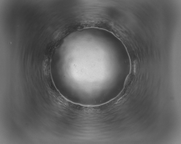 X0000070201059200606021223