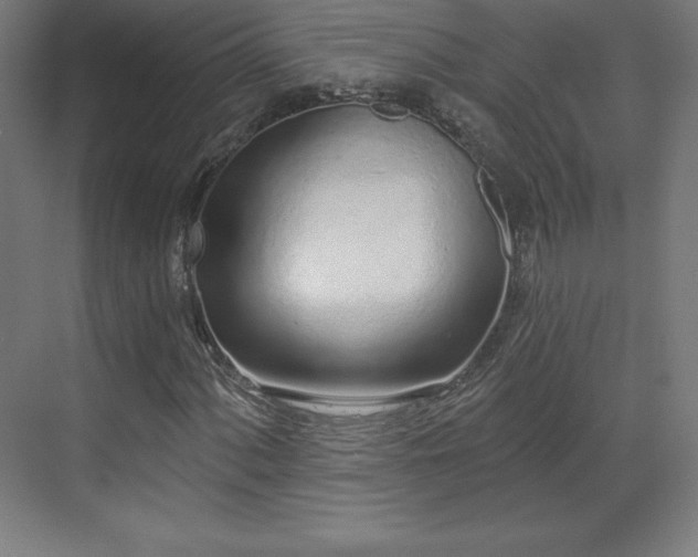 X0000070201060200606021223