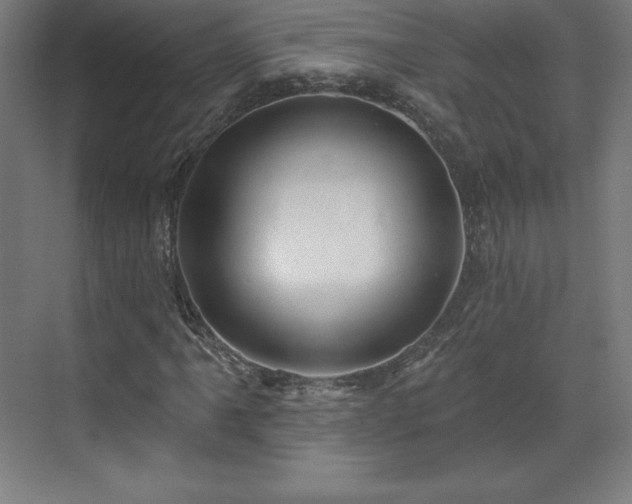 X0000070201061200606021223