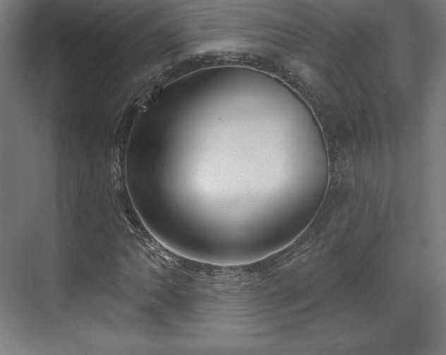 X0000070201062200606021223
