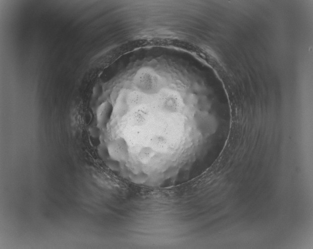 X0000070201063200606021223