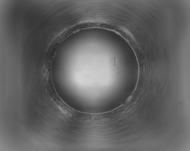 X0000070201064200606021223