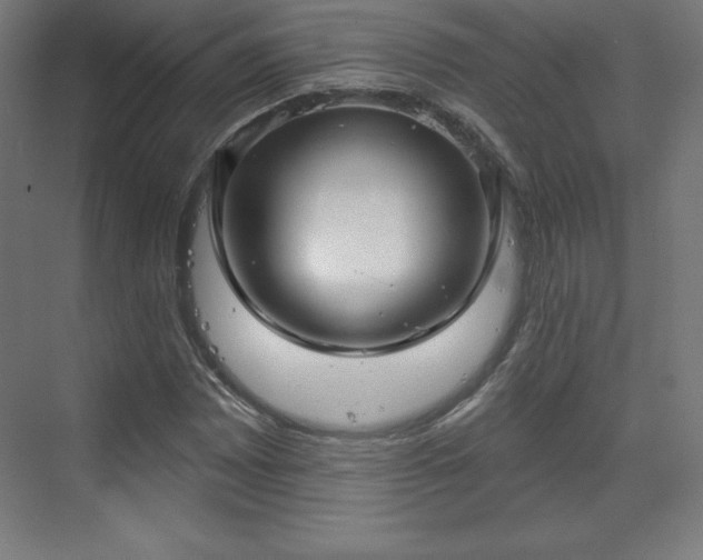 X0000070201065200606021223