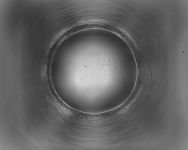 X0000070201066200606021223