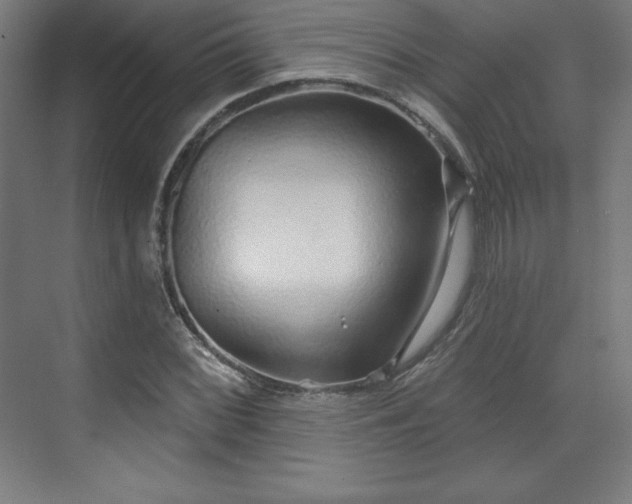 X0000070201068200606021223