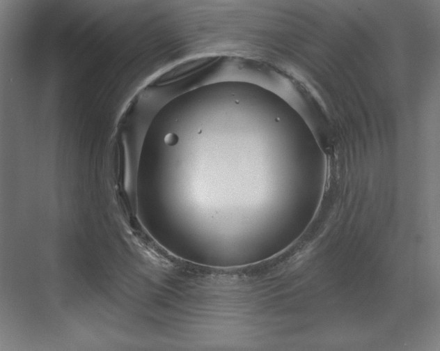 X0000070201069200606021223