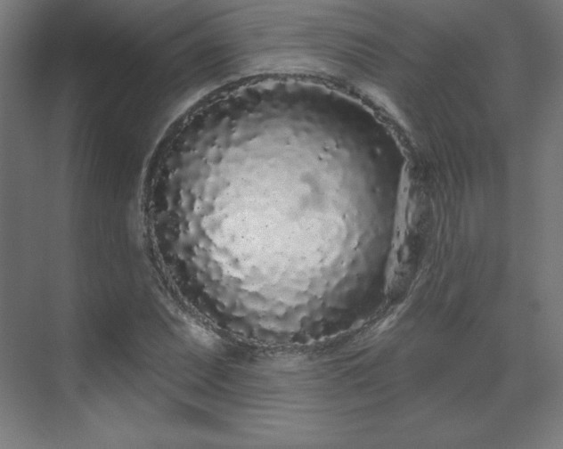 X0000070201071200606021223