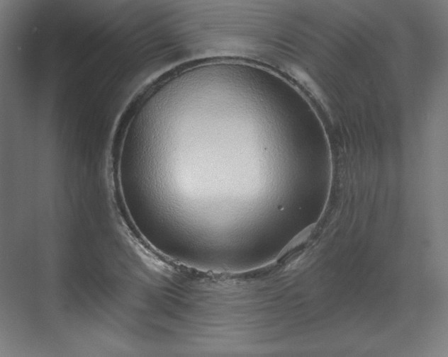 X0000070201072200606021223