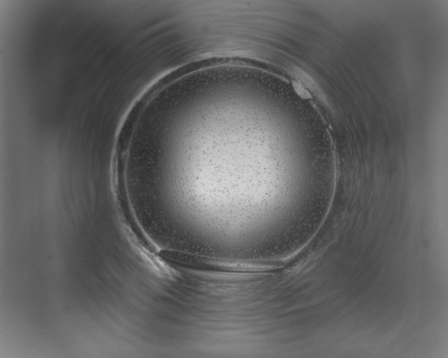 X0000070201076200606021223