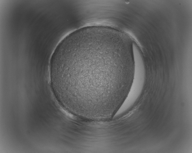 X0000070201079200606021223