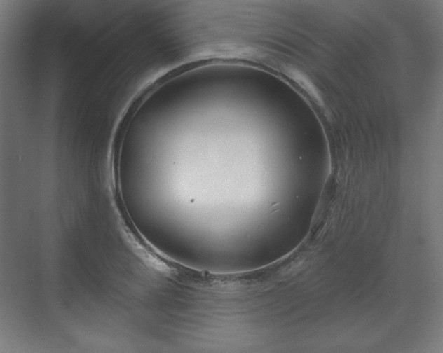 X0000070201080200606021223