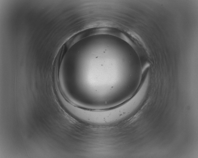 X0000070201081200606021223