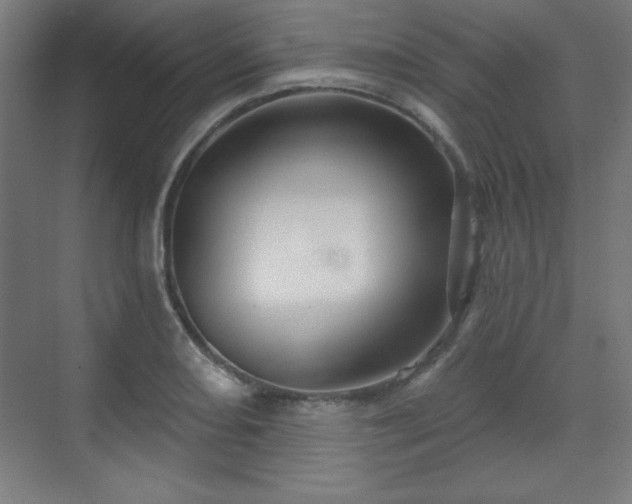 X0000070201082200606021223
