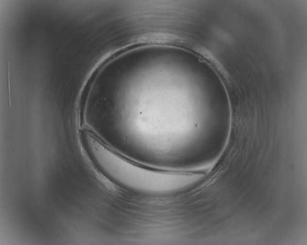 X0000070201083200606021223