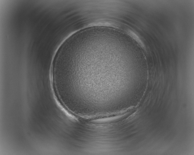 X0000070201084200606021223