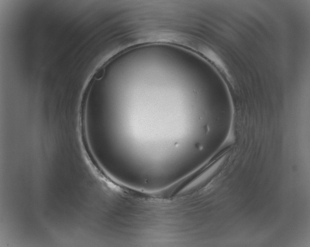 X0000070201088200606021223