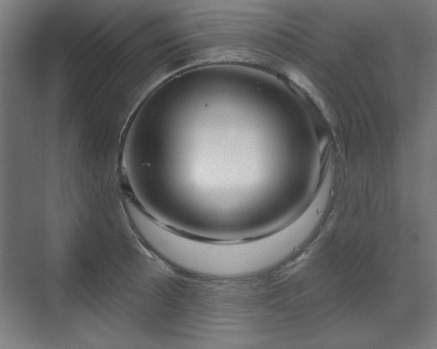 X0000070201089200606021223