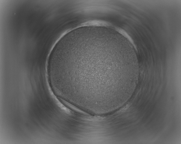X0000070201091200606021223