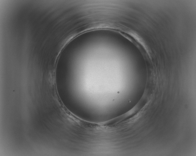 X0000070201097200606021223