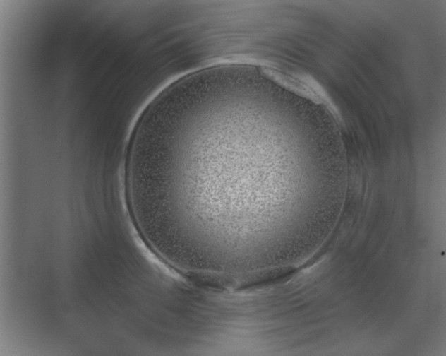 X0000070201100200606021223