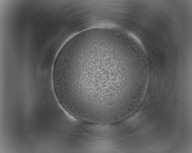 X0000070201103200606021223