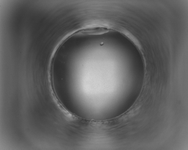 X0000070201104200606021223