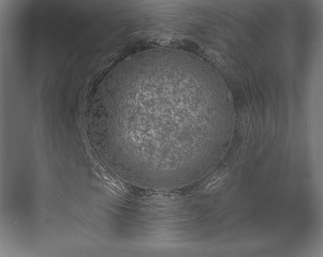 X0000070201105200606021222