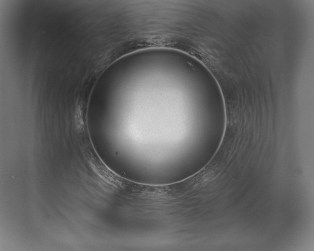 X0000070201106200606021222