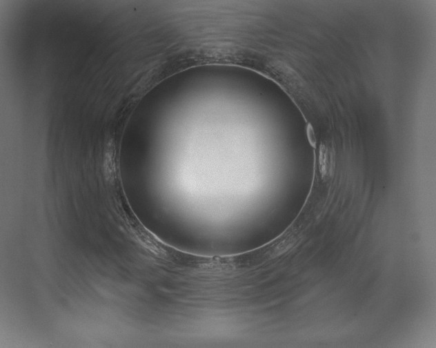 X0000070201107200606021222