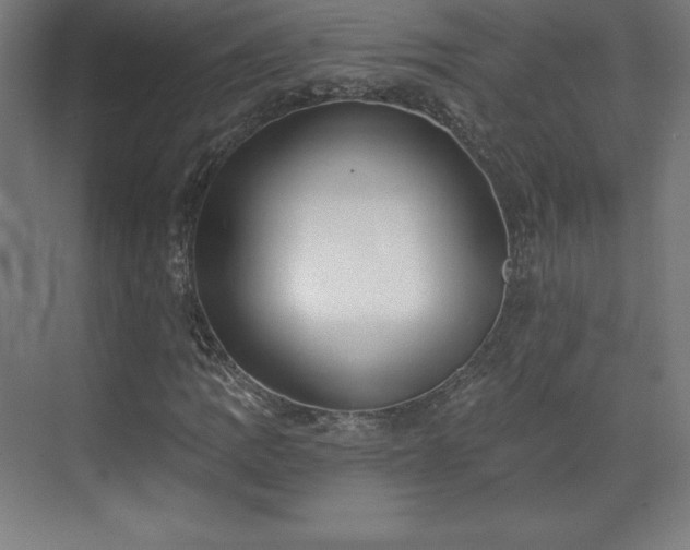 X0000070201109200606021222