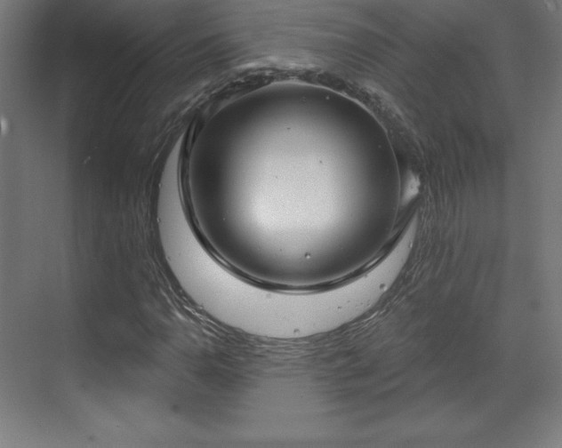 X0000070201110200606021222