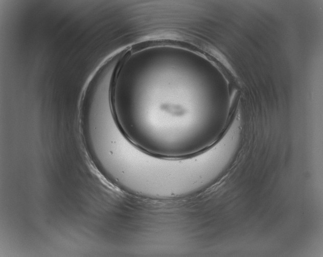 X0000070201116200606021222