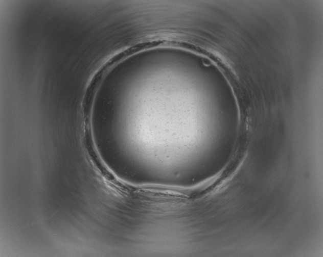 X0000070201117200606021222