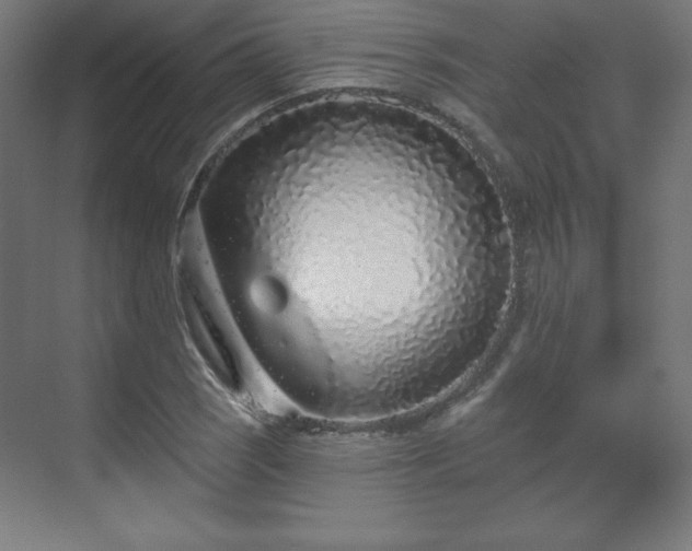 X0000070201121200606021222