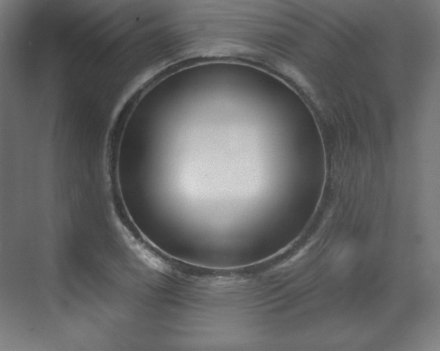 X0000070201122200606021222