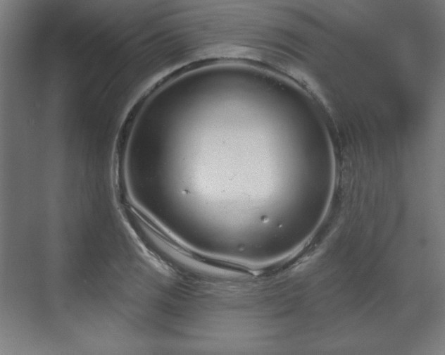 X0000070201125200606021222