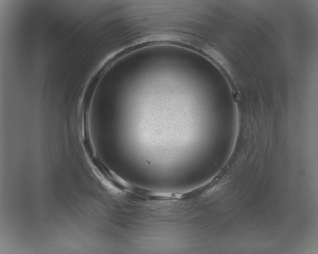 X0000070201127200606021222