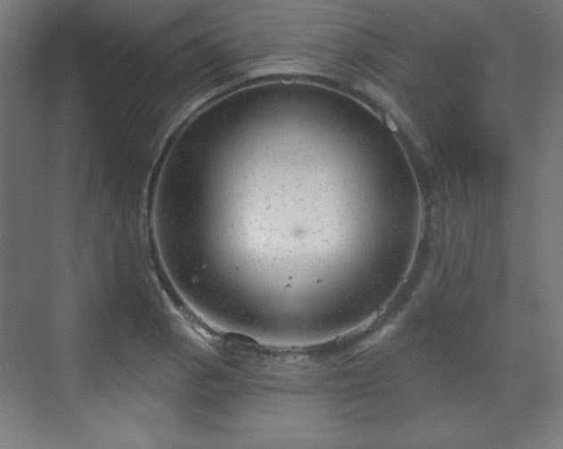 X0000070201129200606021222