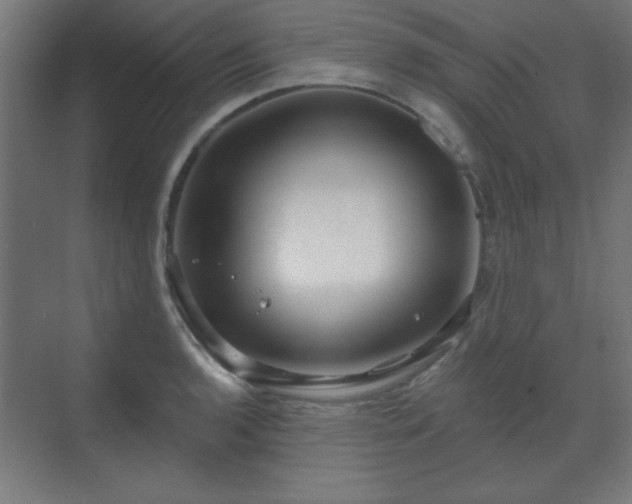 X0000070201136200606021222