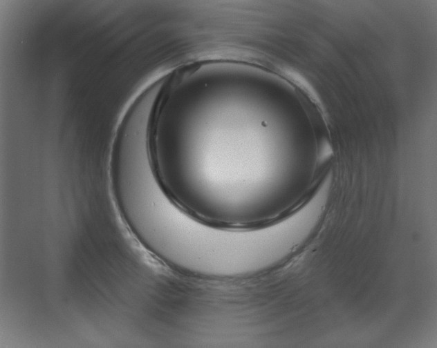 X0000070201138200606021222