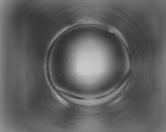 X0000070201149200606021222