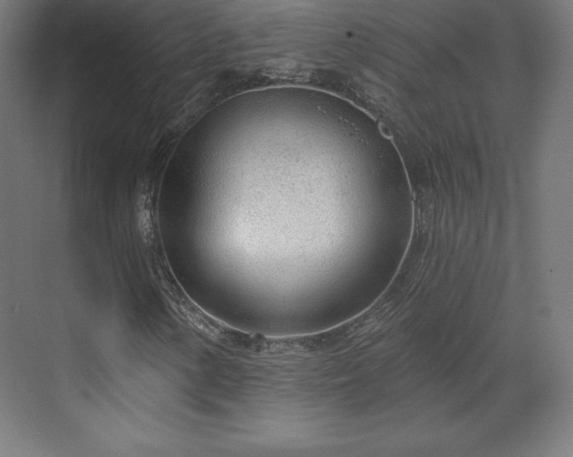 X0000070201154200606021222