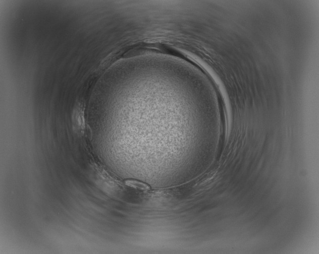 X0000070201155200606021222